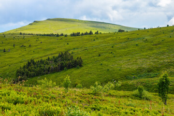 Fototapeta na wymiar carpathian countryside with grassy meadows. mountain landscape in summertime
