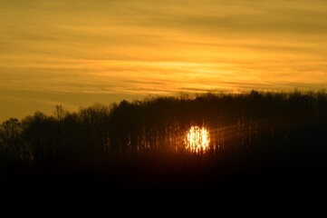 autumn sunrise through the forest