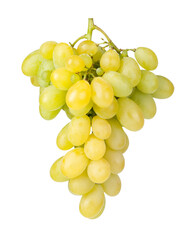 Branch of green grapes on transparent background. png file