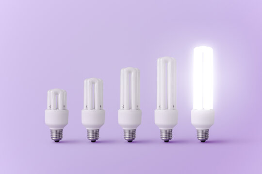 Set of light bulbs and one burning bulb of different sizes