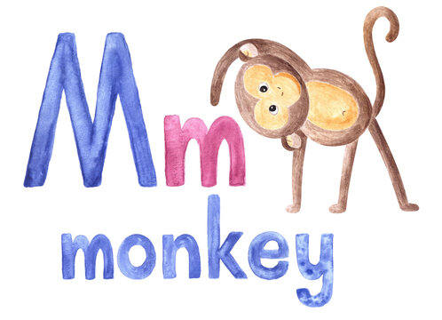 Aquarelle letter M for written word "monkey", pictured book, card for education.Watercolor hand drawn illustrated painted kids alphabet of english language.Isolated