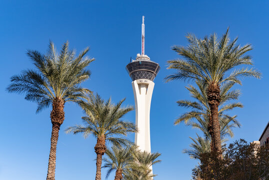 Las Vegas, United States - November 24, 2022: A picture of the STRAT SkyPod against a blue sky with palm trees.