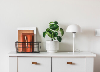 Minimalism style living room - a basket with magazines, a homemade flower in a ceramic pot, a table lamp on a white cabinet. Scandinavian style interior