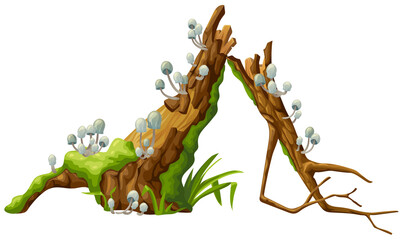 Mushrooms, moss on logs. Cartoon stump in toadstools in swamp forest. Poisonous  shrooms, broken tree in tropical damp jungle. Isolated vector element on white background for computer game.