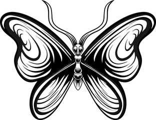 line art butterfly vector design