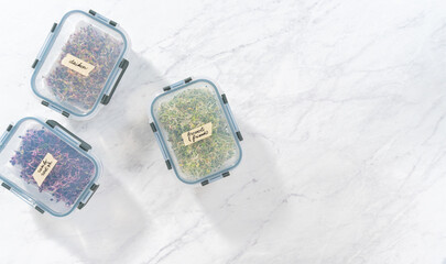 Growing sprouts in a jar