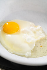 Breakfast Egg and Sprouts Sandwich