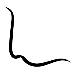 Frame Border, Vector calligraphy swirls, swashes, ornate motifs and scrolls.