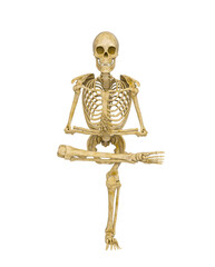 skeleton is doing a namaste yoga pose one
