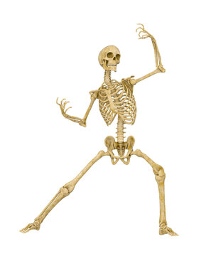 skeleton in a comic action pose
