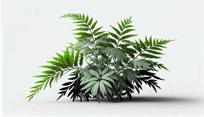 Beautiful composition with fern and other tropical leaves ai generated image