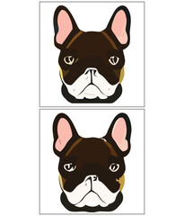 Bulldog face, isolated vector illustration for kids