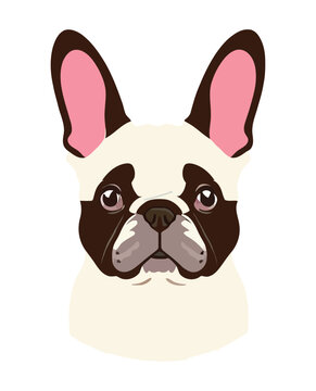 Bulldog face, isolated vector illustration for kids