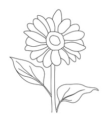 Hand drawn of sunflower on white background. Flower outline style. Vintage vector illustration.