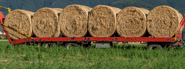 Banner size view of hay bales being lined up on a trailer to be transported off the field,...