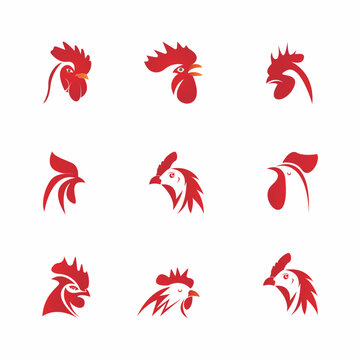 set of rooster head logo vector