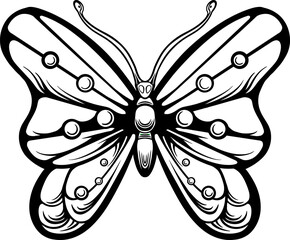 line art butterfly vector design