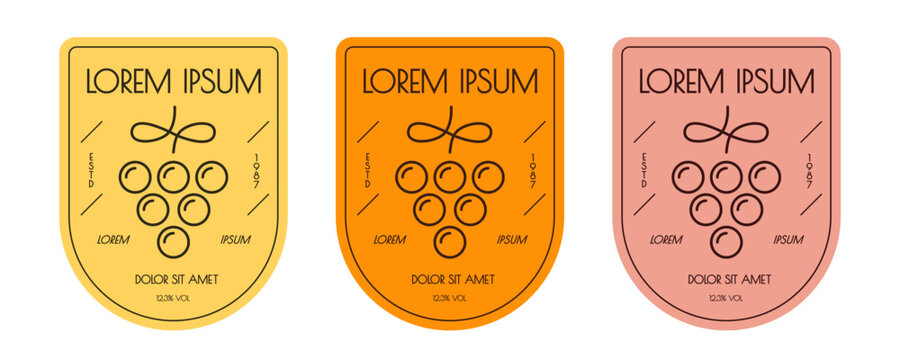 Vine bottle label set grape line style color isolated on white background vector 10 eps