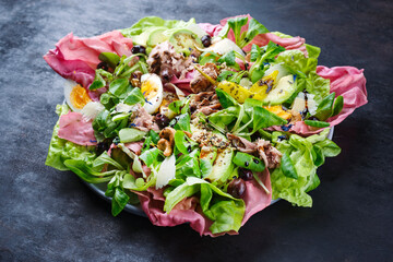 Traditionaler deutscher Blattsalat und italienischen Radicchio Salat serviert mit Thunfisch,...