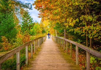 Fototapeta na wymiar Two people who are in love hugging while walking on the boardwalk to Stavkirke under the canopy of trees in the autumn, Washington Island, Wisconsin