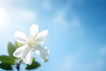 Fototapeta na wymiar Single flower in the soft blue sky. Generative ai.