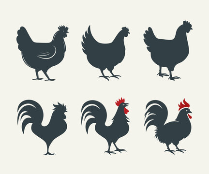 Chicken silhouette set. Rooster silhouette set, vector illustration.