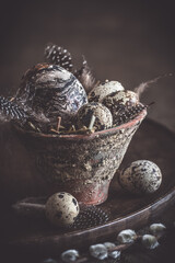 Easter decoration: rustic flower pot with natural quail eggs and feathers on a dark wooden plate...