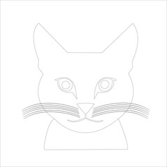 black and white cat with a bow