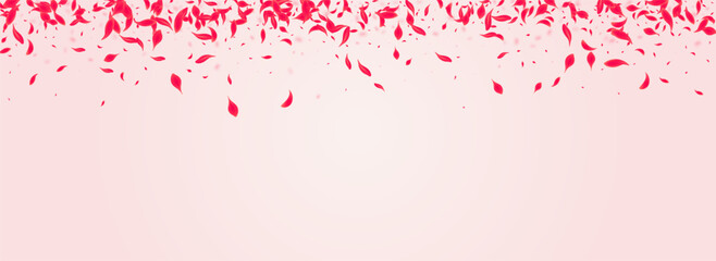 Ruby Rose Vector Pink Panoramic Background.