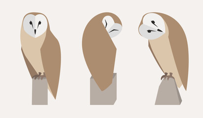 Vector owl bird set illustration
