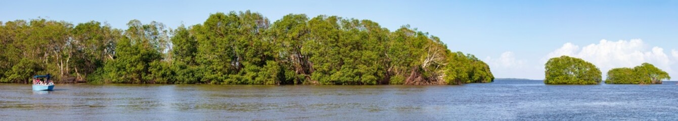 Belize Rivers, mit einem Speedboot auf dem Fluss durch die Mangroven-Landschaft, blauer Himmel mit Wolken, ein Panorama.