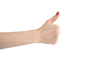 Female hand isolated on white background. Gestures shown by hand. Like gest.