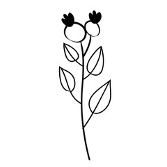 Obraz premium botanical leaf doodle wildflower line art