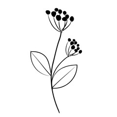 botanical leaf doodle wildflower line art