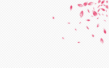 White Confetti Vector Transparent Background.