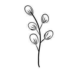 botanical leaf doodle wildflower line art