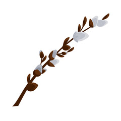 Flowering willow branch on a white background.
