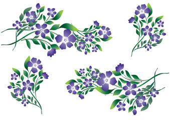 Branches de fleurs de pervenche bleu avec feuillage vert sur fond transparent - obrazy, fototapety, plakaty