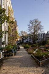 Obraz premium Hortus Botanicus is a botanical garden in amsterdam.