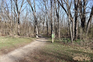 The start of the trail in the forest on a sunny day.