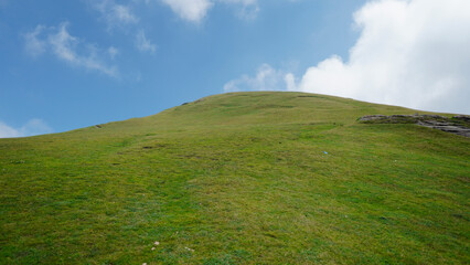 grass and blue sky, Landscape  
