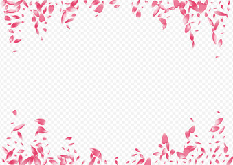 Light Rose Vector Transparent Background. Lotus