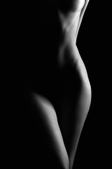 Female Nude silhouette. Naked Woman