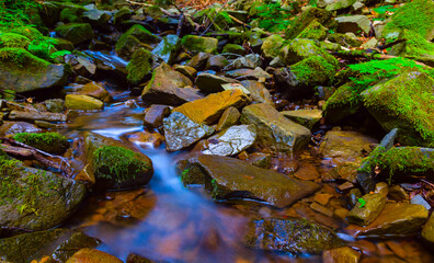small mountain brook flow among a stones
