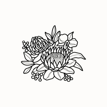 Line art Australian flowers bouquet