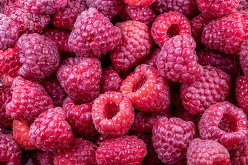 Ripe sweet red raspberries pattern background.