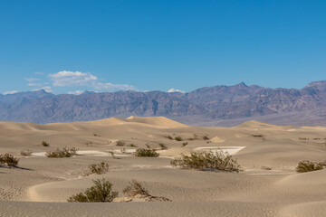 Fototapeta na wymiar Panoramic view on Mesquite Flat Sand Dunes in Death Valley National Park, California, USA. Looking at dry Mojave desert on hot sunny summer day with Amargosa Mountain Range in the back. Landscape
