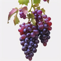 Fototapeta premium Purple and Green Grapes - AI - IA