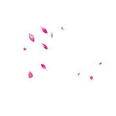 Transparent Apple Petal Vector White Background.