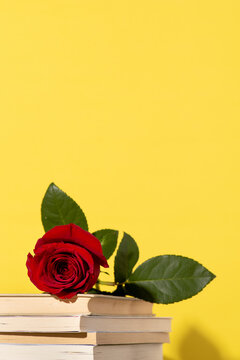 photo for sant Jordi's day, international book day and public holiday in catalonia, Image of a rose on a pile of books on a yellow background, poster copy space